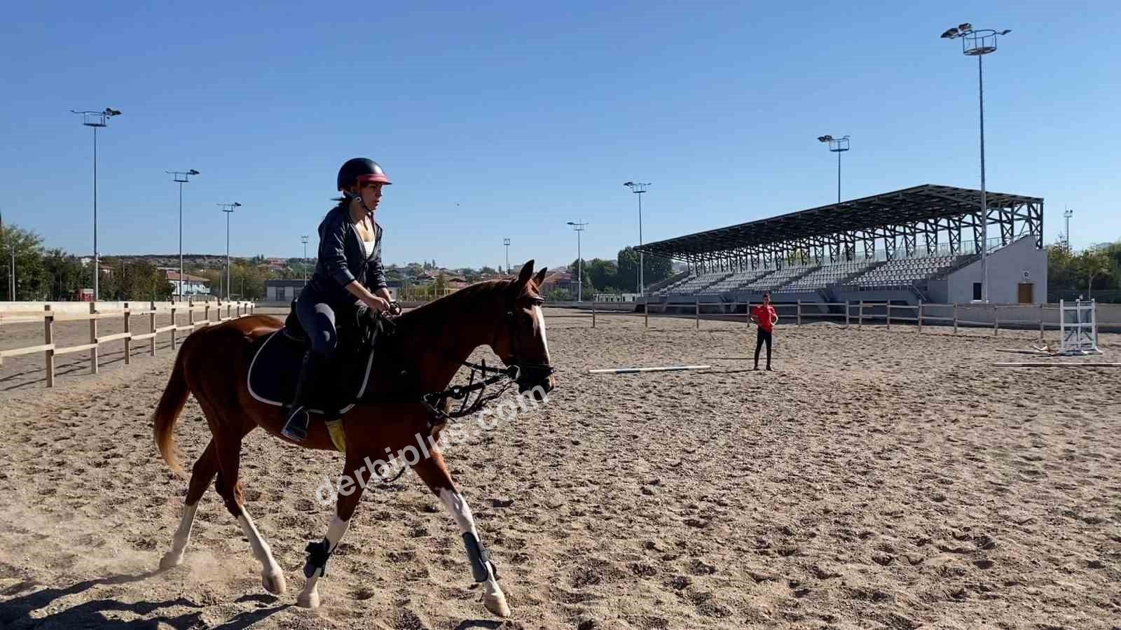 KAYSERİ BÜYÜKŞEHİR BELEDİYESİ SPOR A.Ş., BİNİCİLİK BRANŞINI SPOR KULÜBÜ BÜNYESİNE DÂHİL EDERKEN, BÜYÜKŞEHİR BELEDİYESİ’NE AİT GELENEKSEL BİNİCİLİK VE OKÇULUK TESİSİ’NİN DE RESMİ STATÜ (FEDERE) KAZANMASIYLA KAYSERİ’Yİ BİNİCİLİK SPORUNDA GÜÇLÜ BİR MERKEZ HALİNE GETİRMEYE HAZIRLANIYOR.