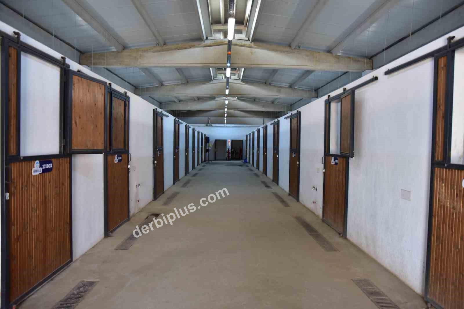 KAYSERİ BÜYÜKŞEHİR BELEDİYESİ SPOR A.Ş., BİNİCİLİK BRANŞINI SPOR KULÜBÜ BÜNYESİNE DÂHİL EDERKEN, BÜYÜKŞEHİR BELEDİYESİ’NE AİT GELENEKSEL BİNİCİLİK VE OKÇULUK TESİSİ’NİN DE RESMİ STATÜ (FEDERE) KAZANMASIYLA KAYSERİ’Yİ BİNİCİLİK SPORUNDA GÜÇLÜ BİR MERKEZ HALİNE GETİRMEYE HAZIRLANIYOR.