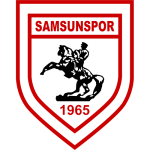 6.SAMSUNSPOR A.Ş.
